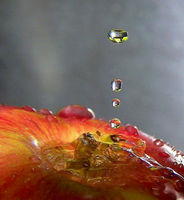 water-droplets-photography~0.jpg
