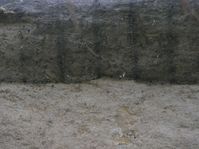 Име на файл=historyplaces-mestai00011_-_Copy.jpg
Размер на файл=263KB
Размери=1024x766
Дата на добавяне=Юни 06 2010 historyplaces-mestai00011_-_Copy.jpg