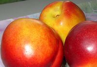 photos00019.jpg