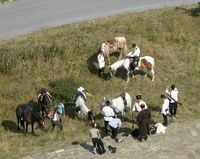 shipka200900075.jpg
