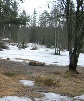 naturelandscapes00001.jpg