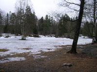 naturelandscapes00004.jpg